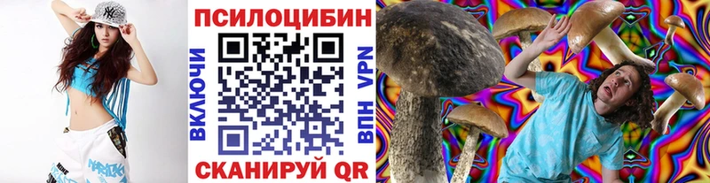 Купить где  Кяхта  Псилоцибиновые грибы прущие грибы 