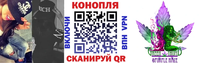 Купить закладки  Кяхта  Канабис OG Kush 